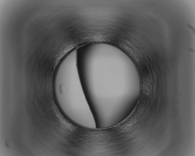 X0000091980394200709061156