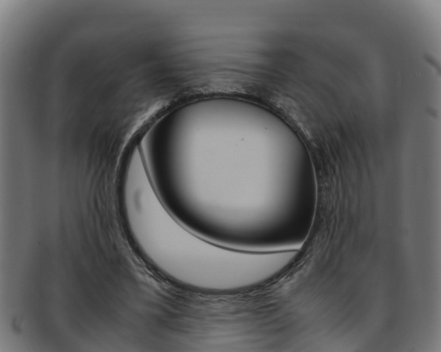 X0000091980395200709061156