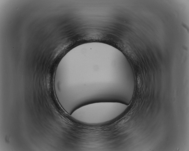 X0000091980396200709061156