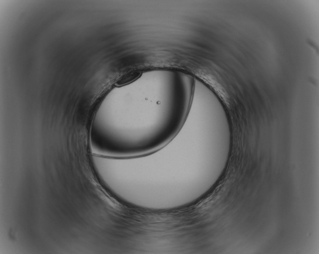 X0000091980397200709061156