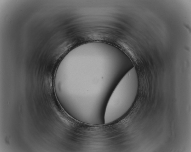 X0000091980398200709061156