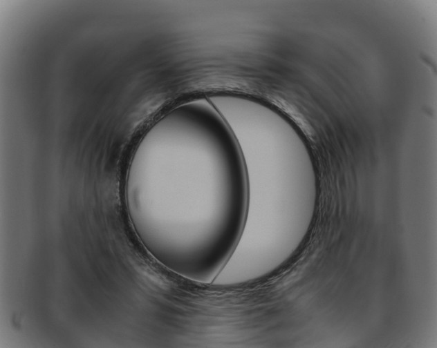 X0000091980399200709061156
