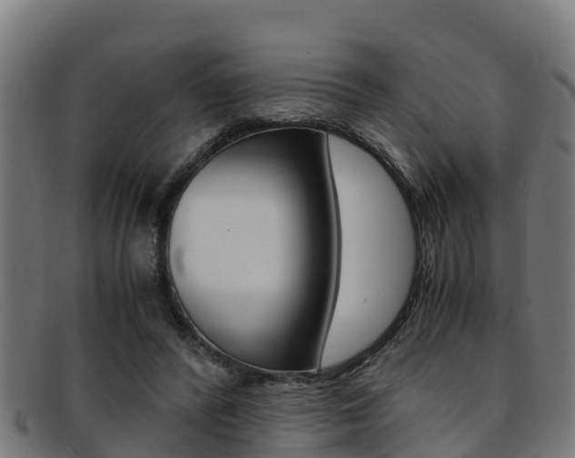 X0000091980400200709061156