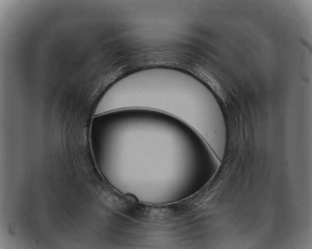 X0000091980401200709061156