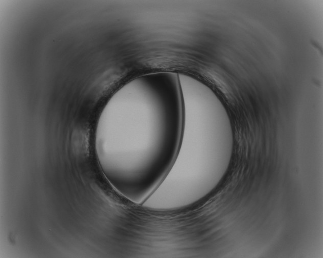 X0000091980404200709061156