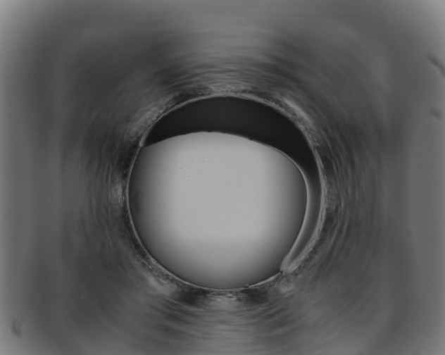 X0000091980405200709061156