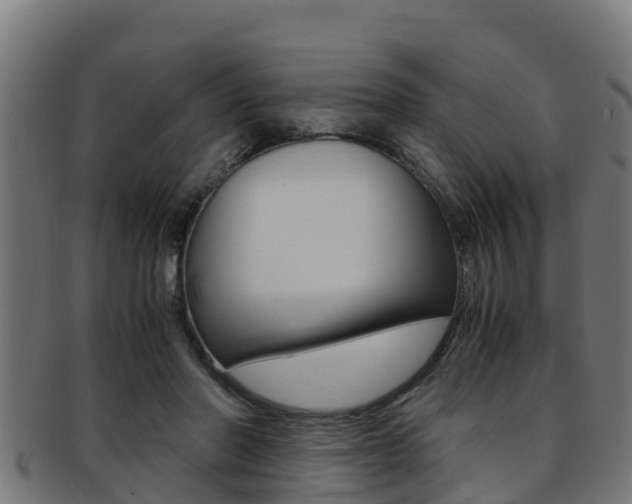 X0000091980406200709061156