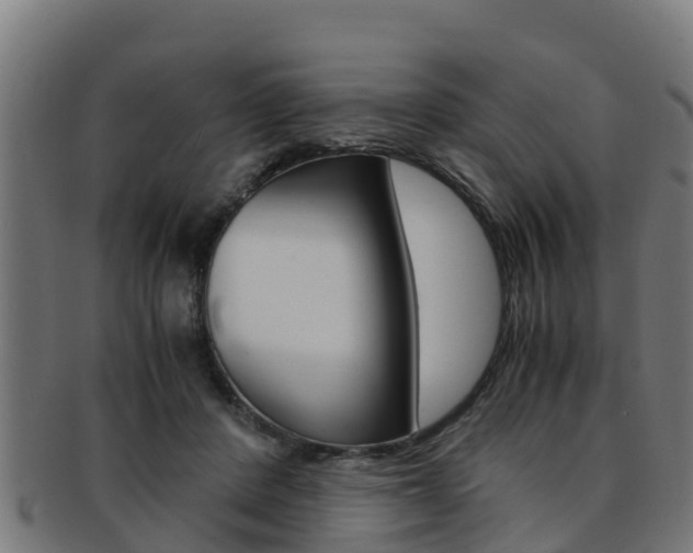 X0000091980408200709061156