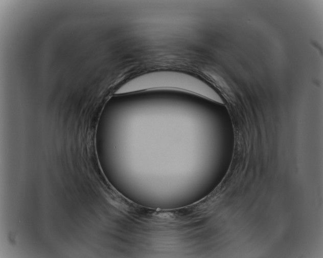 X0000091980409200709061156