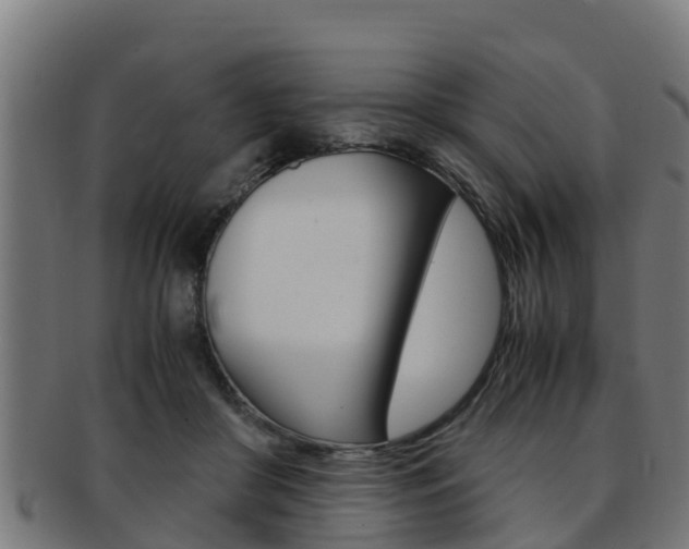 X0000091980410200709061156