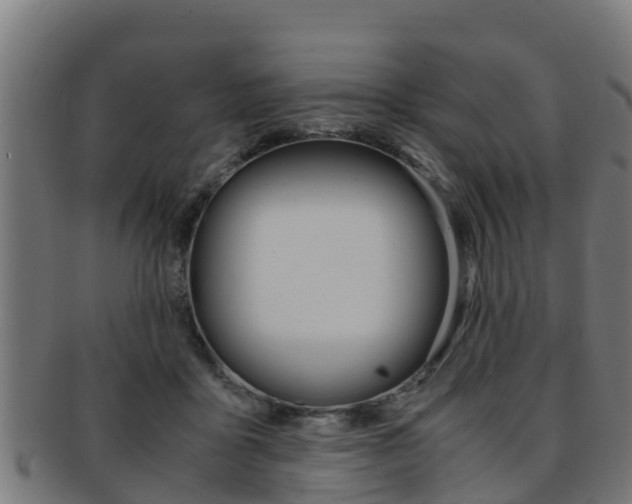 X0000091980411200709061156