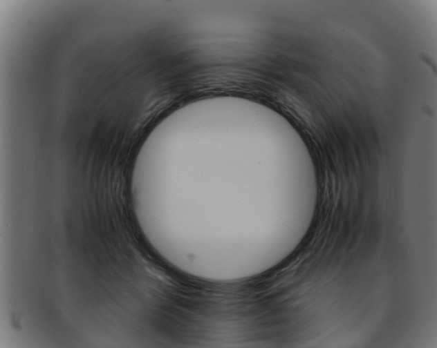 X0000091980412200709061156
