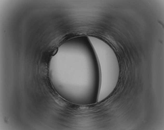 X0000091980413200709061156