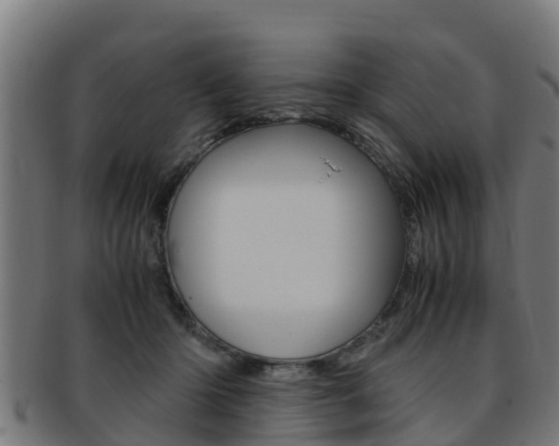 X0000091980414200709061156