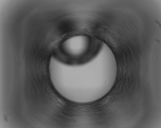 X0000091980416200709061156