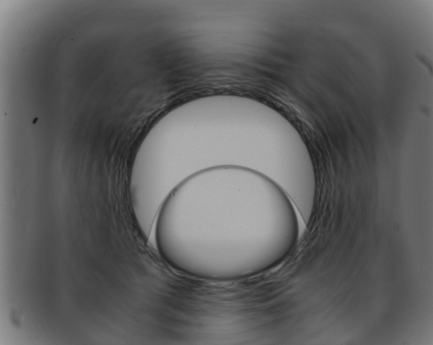 X0000091980417200709061156