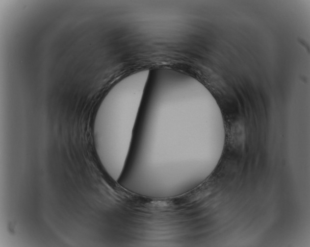X0000091980418200709061156