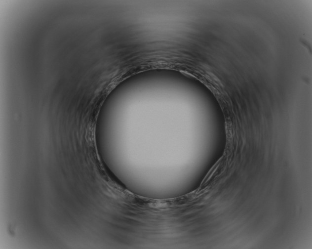 X0000091980419200709061156
