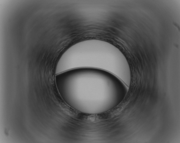 X0000091980420200709061156