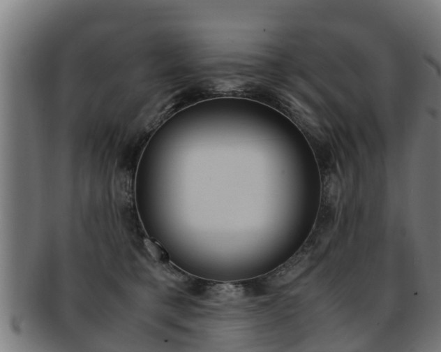 X0000091980421200709061156