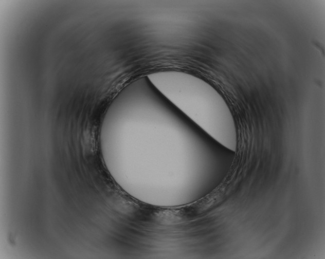 X0000091980422200709061156