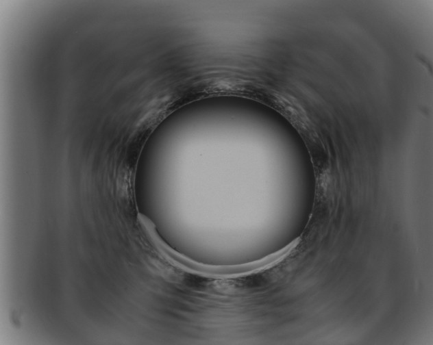 X0000091980423200709061156