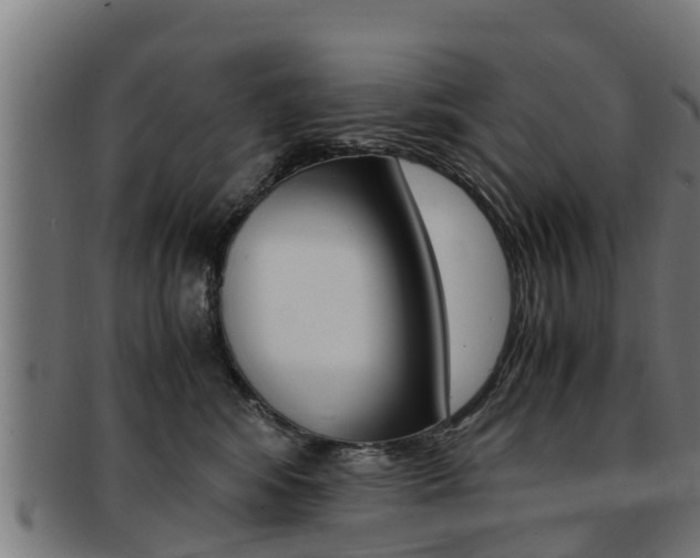 X0000091980424200709061156