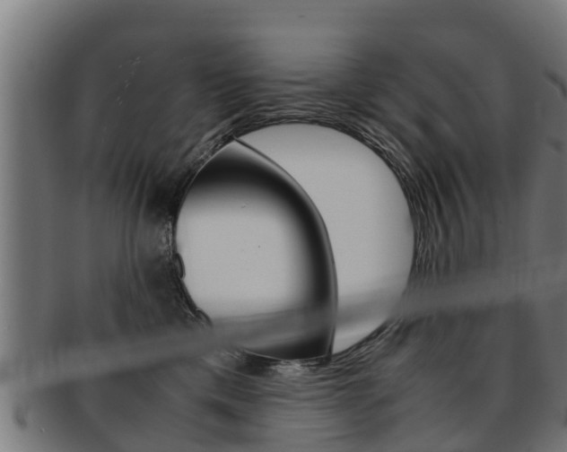 X0000091980425200709061156
