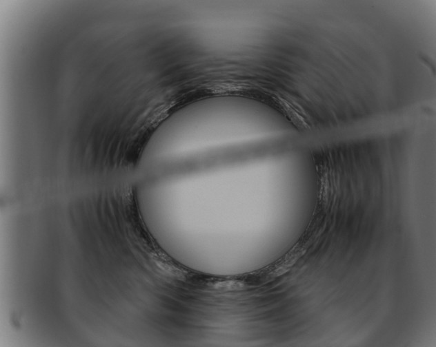 X0000091980426200709061156