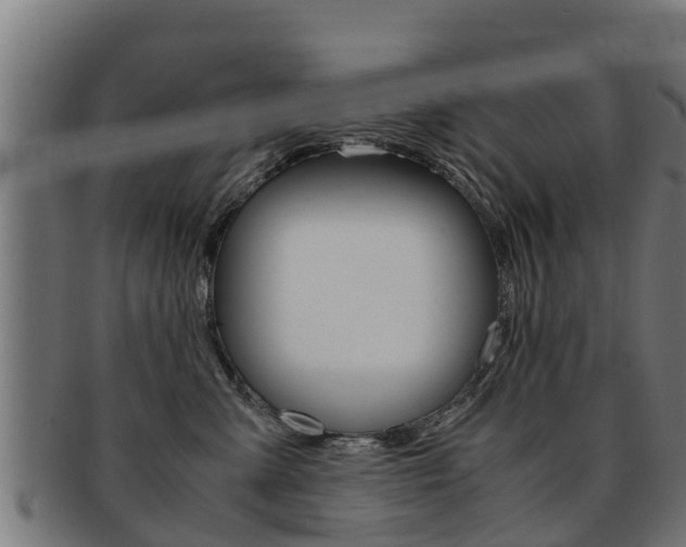 X0000091980427200709061156