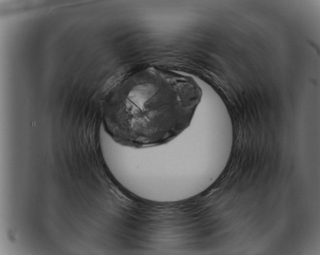 X0000091980428200709061156