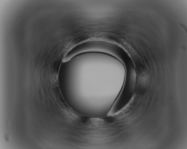 X0000091980429200709061156