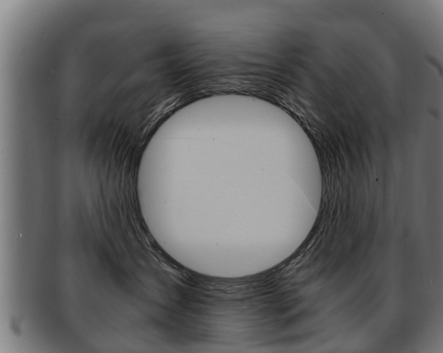 X0000091980431200709061156