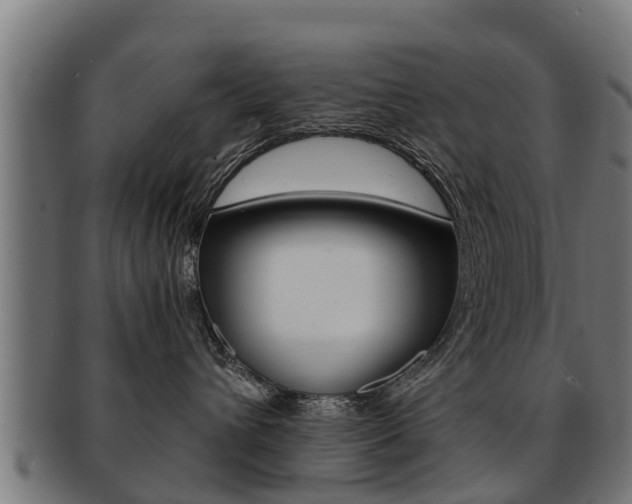 X0000091980432200709061156