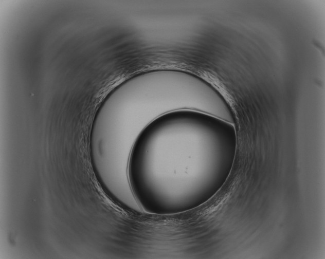 X0000091980433200709061155