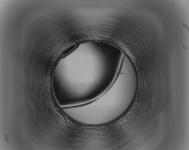 X0000091980434200709061155