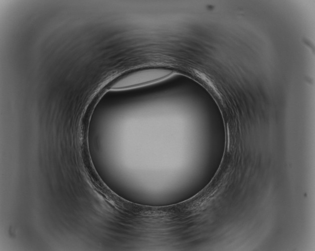X0000091980435200709061155