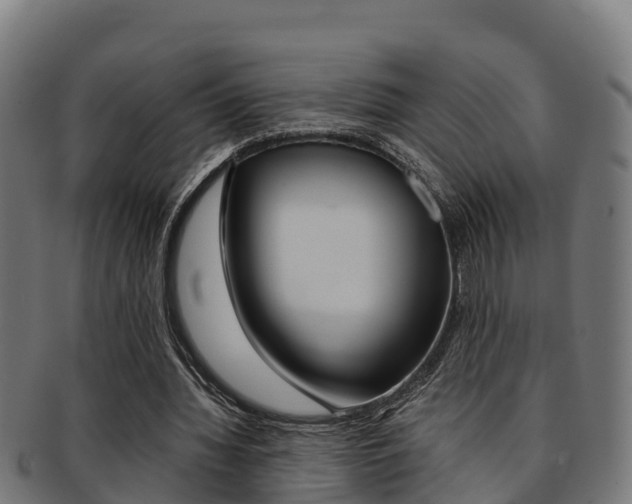 X0000091980436200709061155