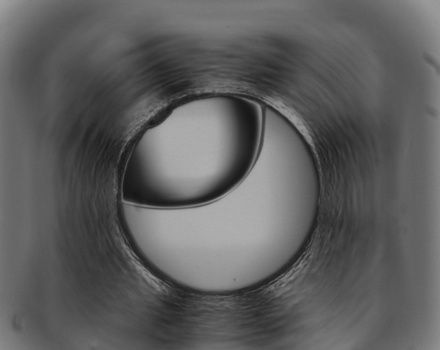 X0000091980437200709061155