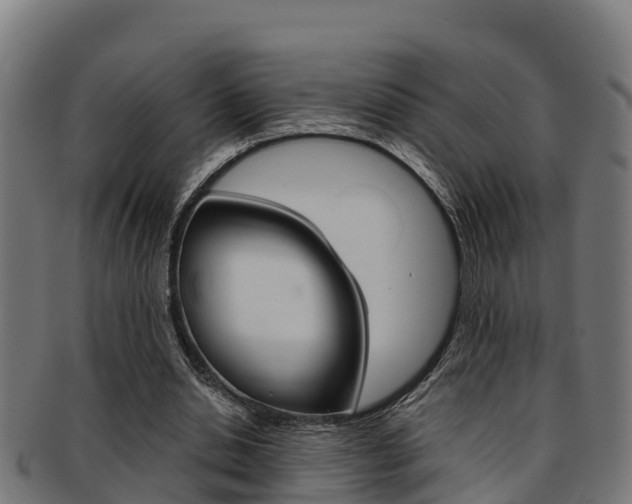 X0000091980438200709061155