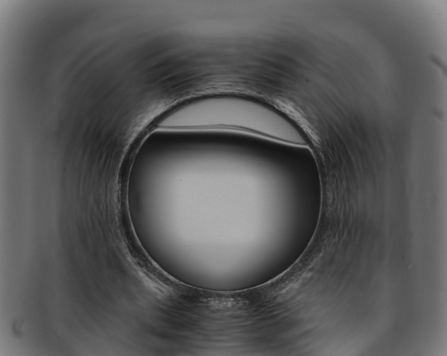 X0000091980439200709061155