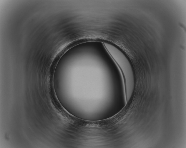 X0000091980440200709061155