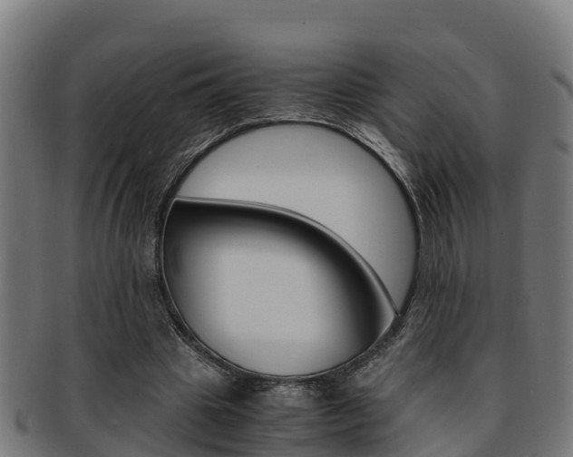 X0000091980441200709061155
