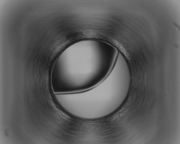 X0000091980442200709061155