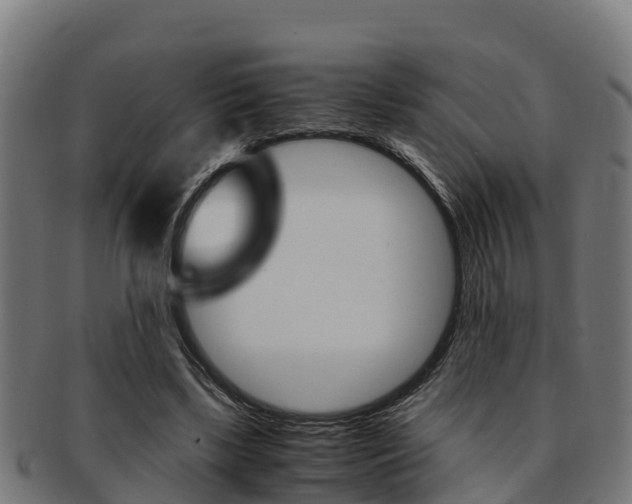 X0000091980443200709061156