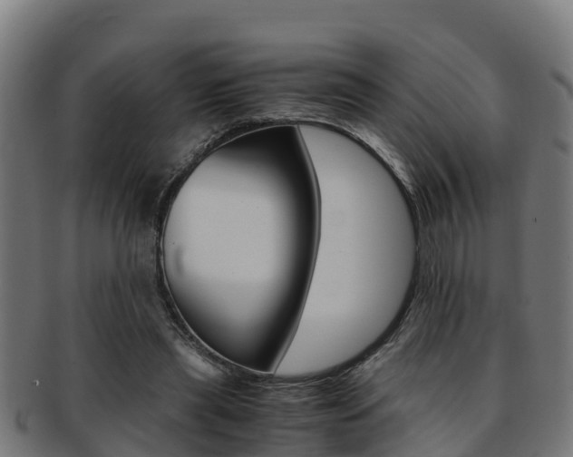 X0000091980445200709061156
