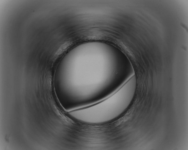 X0000091980446200709061156