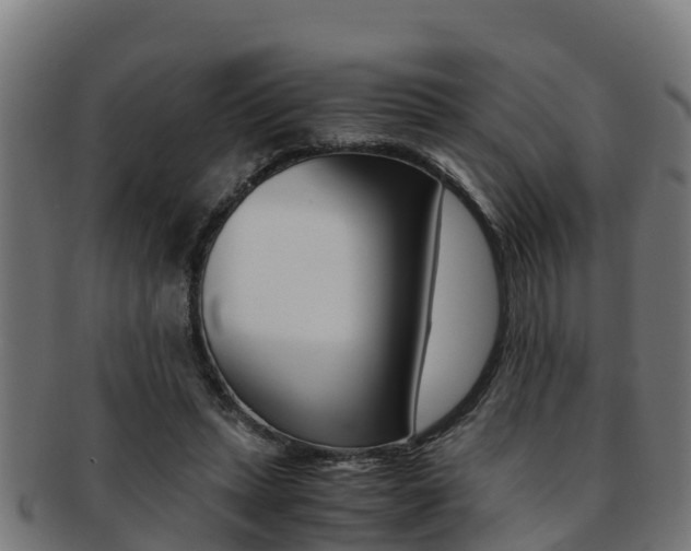 X0000091980447200709061156