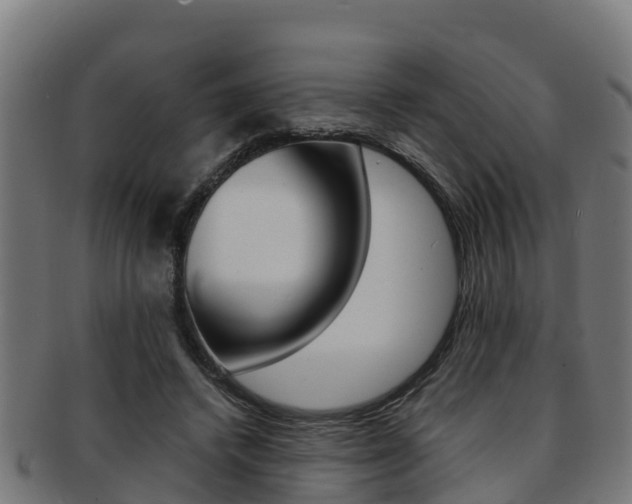 X0000091980448200709061156