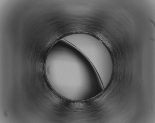 X0000091980449200709061156